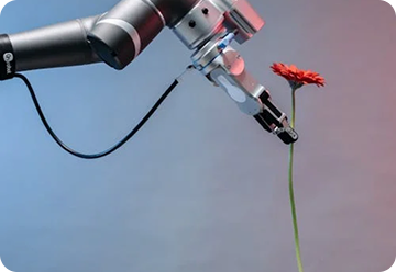 Humanizing AI Support: Empathy and Personalization with Agents
